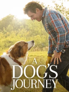 A Dogs Journey (2019) หมา เป้าหมาย และเด็กชายของผม 2