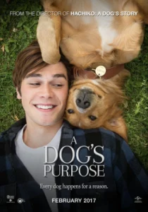 A Dogs Purpose (2017) หมา เป้าหมาย และเด็กชายของผม