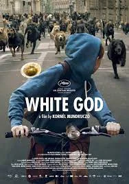 ดูหนัง ออนไลน์ White God เต็มเรื่อง (2014) 4 ขา ล่าปิดเมือง