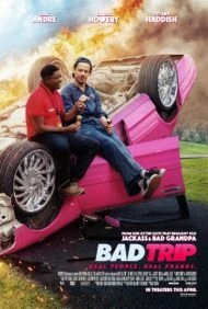 Bad Trip (2020) ทริปป่วนคู่อำ