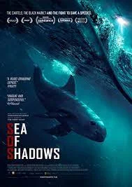 Sea of Shadows (2019) ทะเลแห่งเงา