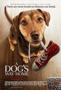 A Dog s Way Home (2019) เพื่อนรักผจญภัยสี่ร้อยไมล์