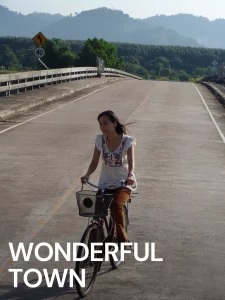 Wonderful Town (2007) เมืองเหงาซ่อนรัก