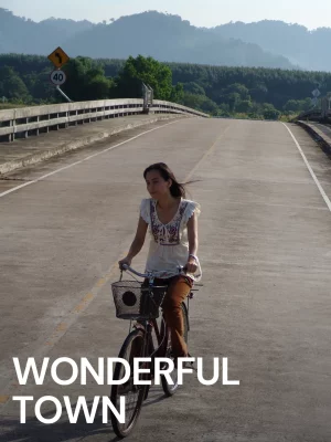 Wonderful Town (2007) เมืองเหงาซ่อนรัก