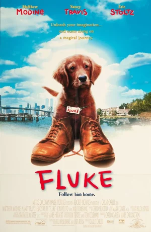 FLUKE (1995)