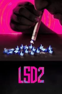 LSD 2 Love Sex Aur Dhokha 2 (2024)