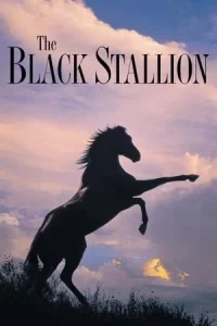 The Black Stallion (1979) อาชาเพื่อนยาก