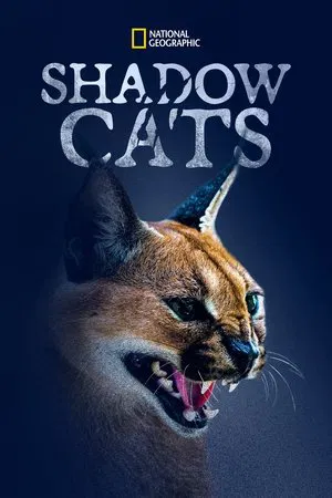 Shadow Cats (2022) แมวแห่งเงา