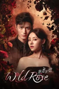 Wild Rose (2025) ทวงแค้นได้รัก EP.1-24 (จบ)